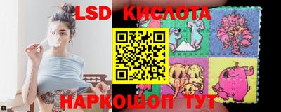 стафф Волгодонск