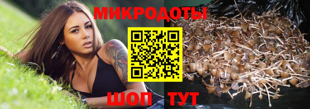 Галлюциногенные грибы мицелий Елизово